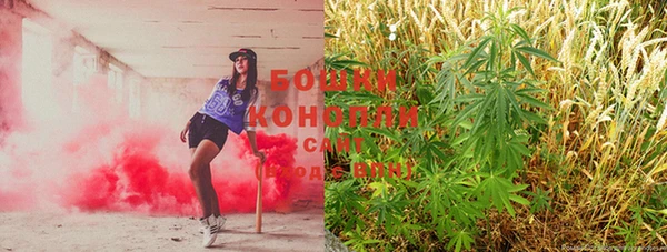 молекула духа Беломорск