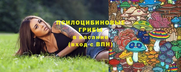 спайс Богданович