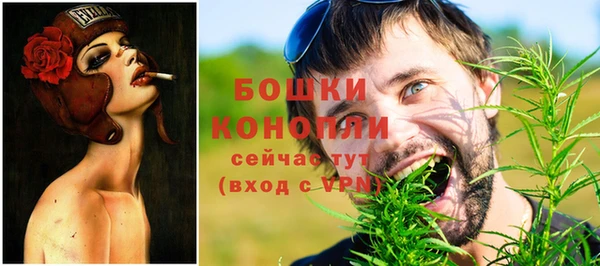 шишки Богородск