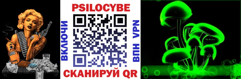 закладки  Бикин  Псилоцибиновые грибы мухоморы 